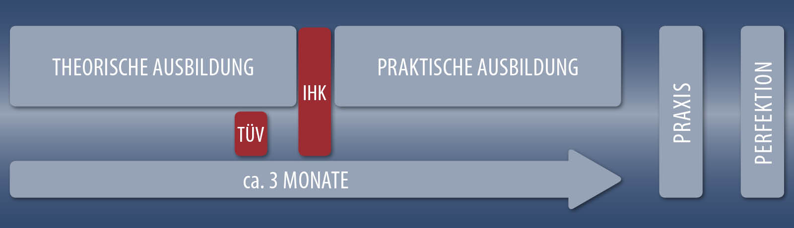 VAF Fishbones 04 Ausbildung